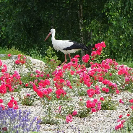 Tudobrze W Piramidach Apartment Borzytuchom