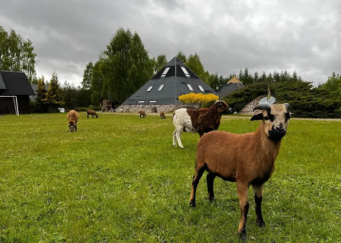 Tudobrze W Piramidach Διαμέρισμα *