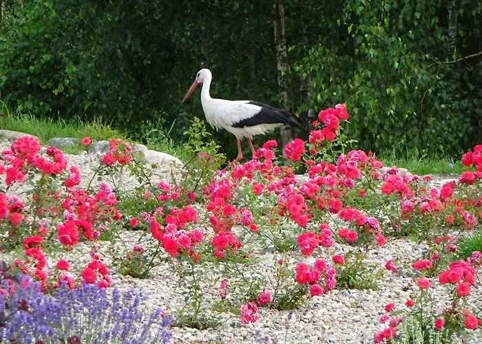 Tudobrze W Piramidach Διαμέρισμα Borzytuchom